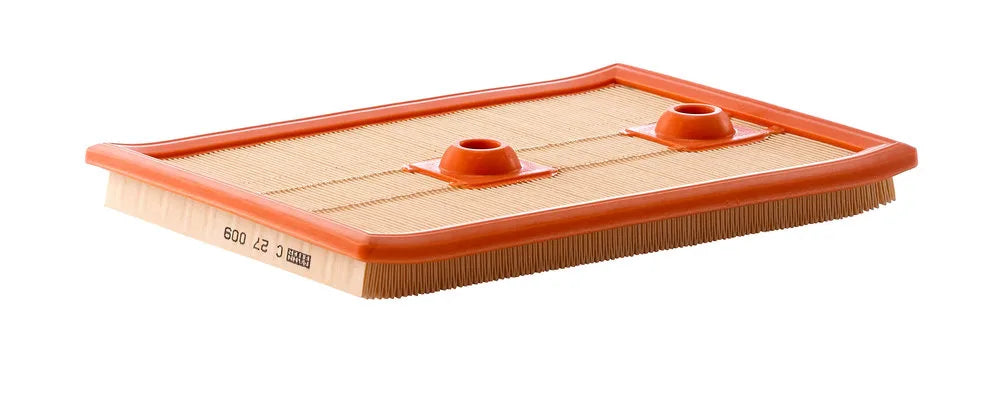 Filtru Aer Mann-Filter 0.25 kg - C 27 009