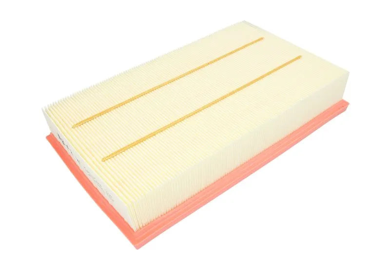 Filtru Aer Mann-Filter 0.30 kg - C 28 043