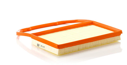 Filtru Aer Mann-Filter 0.34 kg - C 29 015