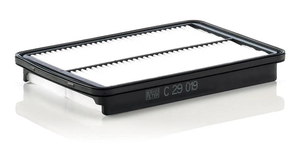 Filtru Aer Mann-Filter 0.33 kg - C 29 019