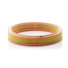 Filtru Aer Mann-Filter pentru Ford Escort/Fiesta/Orion/Escort Express - C3034