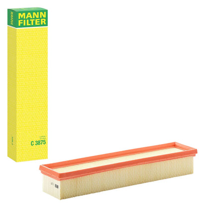 Filtru Aer Mann-Filter 0.26 kg - C 3875