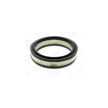 Filtru Aer Champion - CAF100107R
