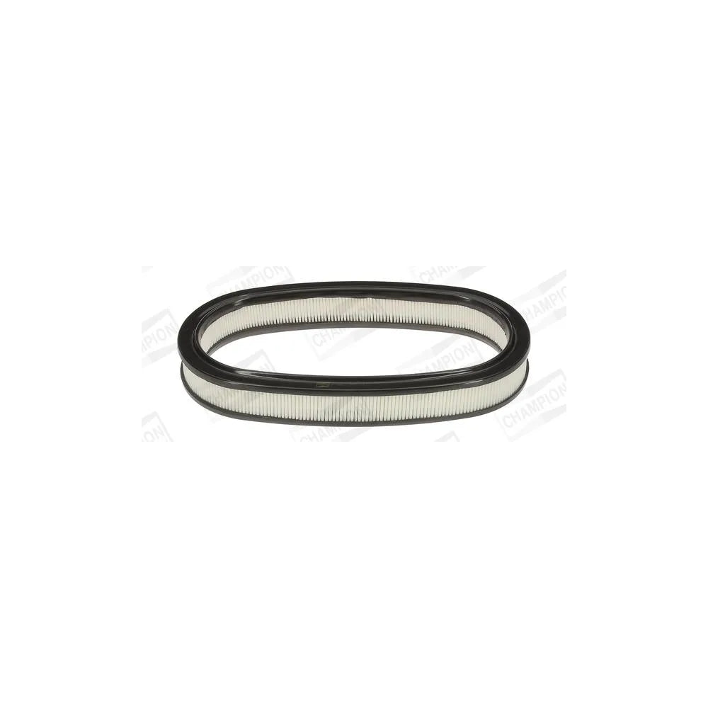 Filtru Aer Champion - CAF100225R