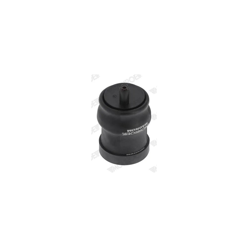 Perne Aer Monroe - CB0257