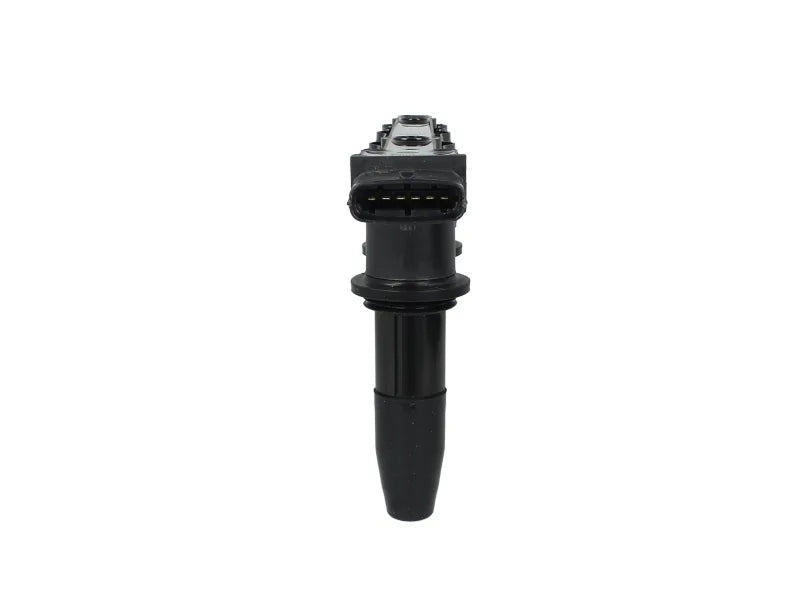 Bobina De Inductie DLP 1.46 kg - CE20009-12B1