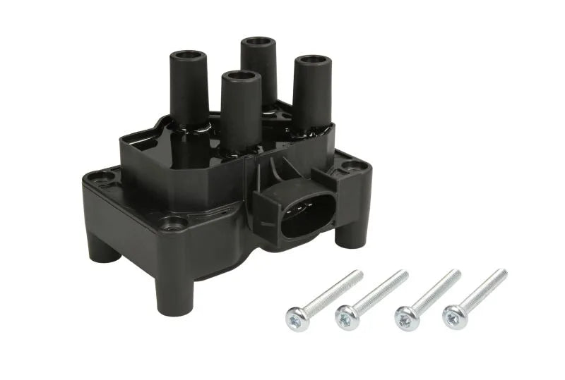 Bobina De Inductie Delphi 0.97 kg - CE20044-12B1