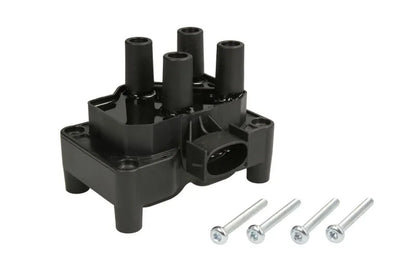 Bobina De Inductie Delphi 0.97 kg - CE20044-12B1