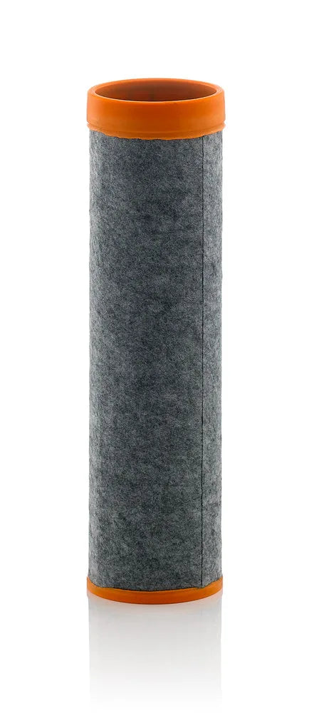 Filtru Aer Mann-Filter 0.30 kg - CF 10 001