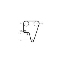 Curea De Distributie Continental Ctam - CT575