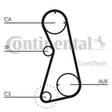 Curea De Distributie Continental Ctam - CT872