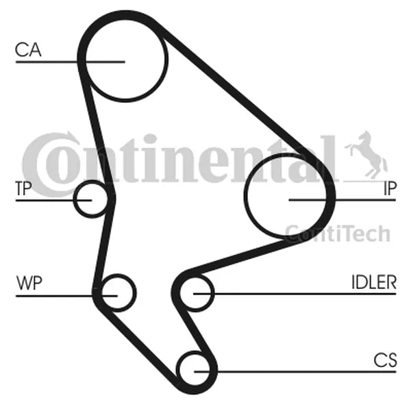 Set Pompa Apa + Curea Dintata CON - CT986WP2