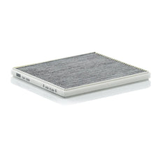 Filtru, Aer Habitaclu MAN 0.11 kg - CUK1828