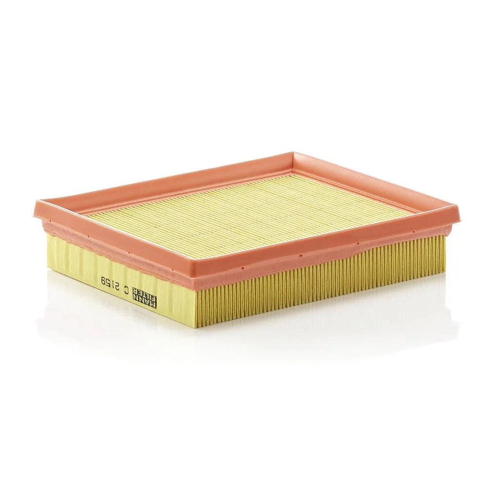 Filtru Aer Mann-Filter 0.20 kg - C 2159