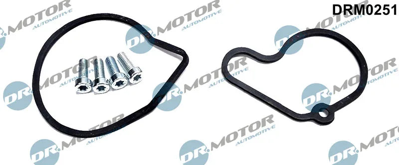 Set Reparatie, Pompa Vacuum (Siste Frana) DRM - DRM0251