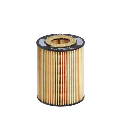 Filtru Ulei Hengst pentru Honda Civic Vii, Opel Astra G - E22HD88