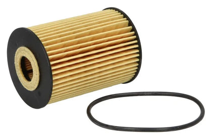 Filtru Ulei Hengst 0.08 kg - E69HD81