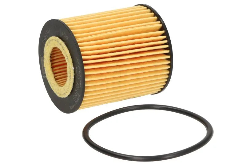Filtru Ulei HENGST pentru Citroen Berlingo, Ds Ds - E957H D505