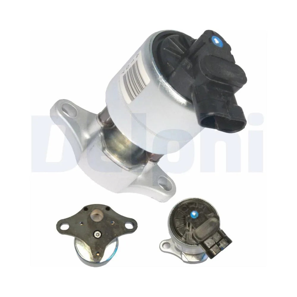 Egr Delphi - EG10015-12B1