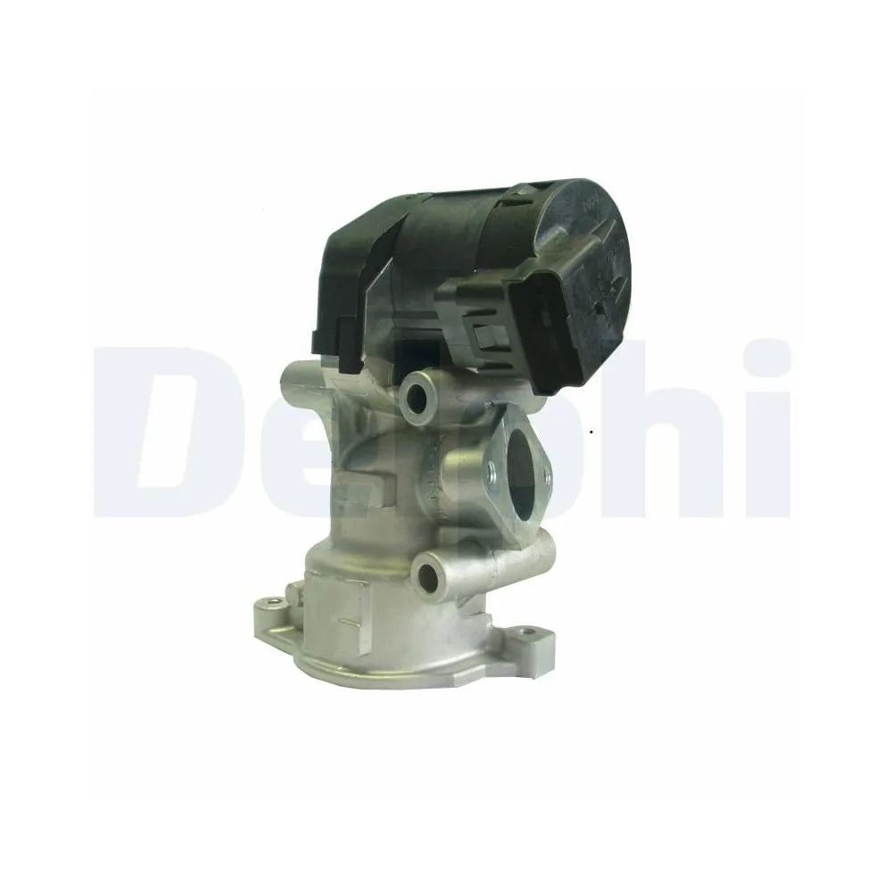 Egr Delphi - EG10396-12B1