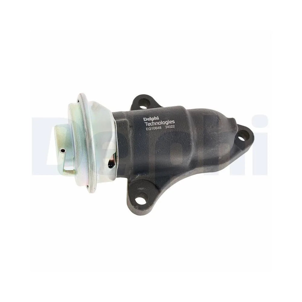 Egr Delphi - EG10648-12B1