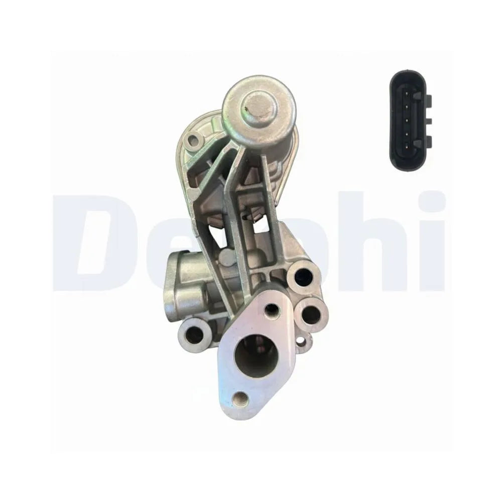 Egr Delphi - EG10655-12B1