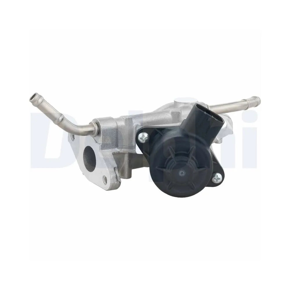 Egr Delphi - EG10738-12B1