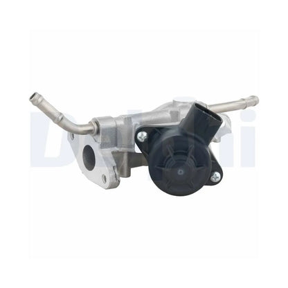 Egr Delphi - EG10738-12B1