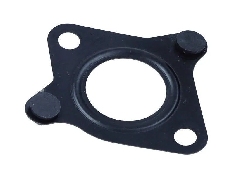 Garnitura Supapa Egr Db 1.8Cdi/2.2Cdi 13- FIS - EG1400-921