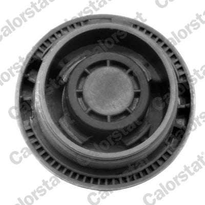 Vas Expansiune CALORSTAT by Vernet 0.38 kg - ET0003C2
