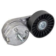 Intinzator Curea Caneluri Land Rover 3,0D Febi Bilstein pentru Land Rover - FE179071