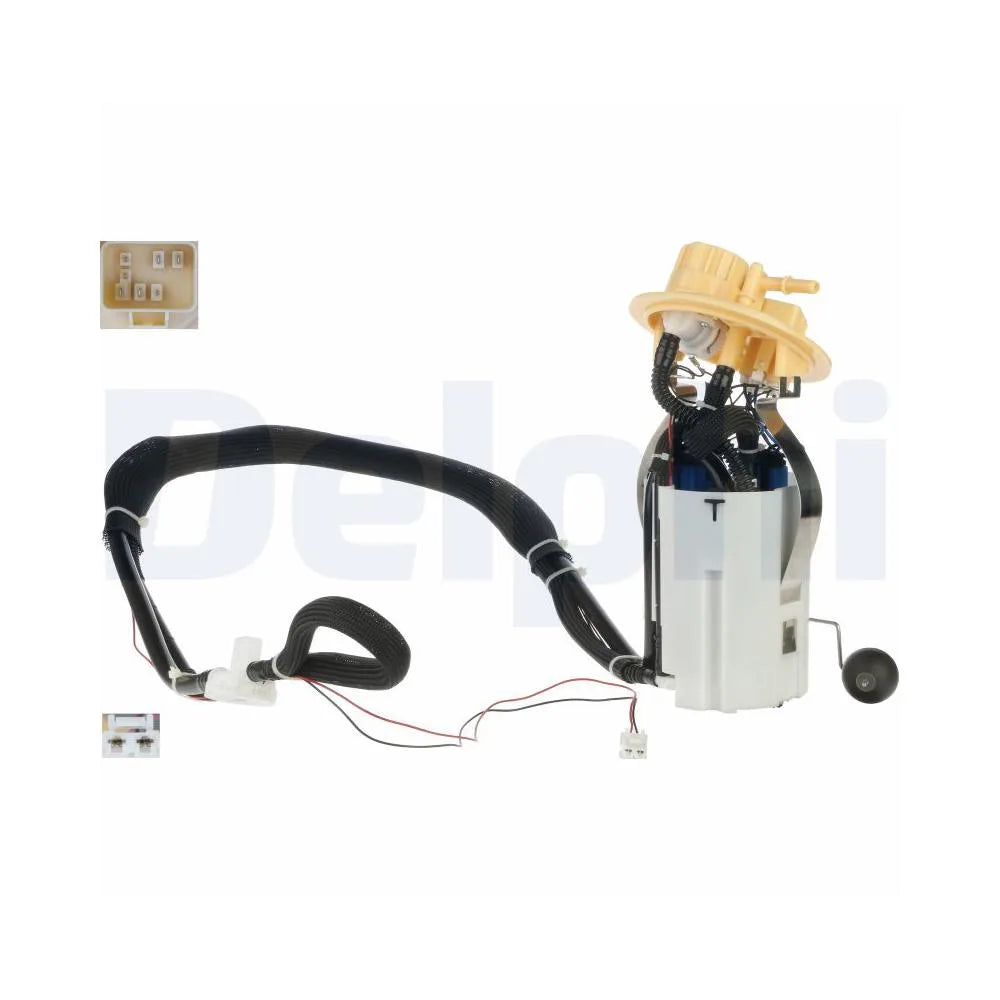 Alte Pompe Delphi - FG1617-12B1