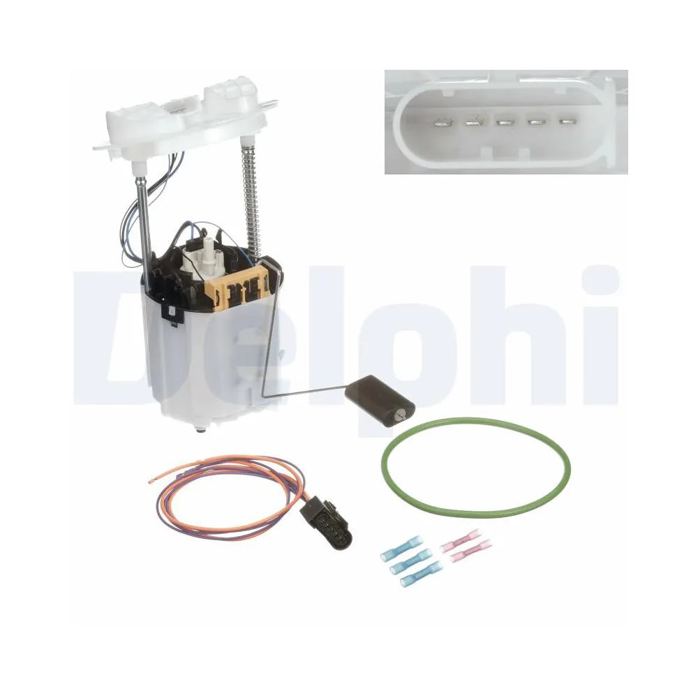 Alte Pompe Delphi - FG2479-12B1