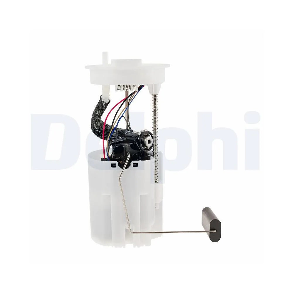 Alte Pompe Delphi - FG2693-12B1