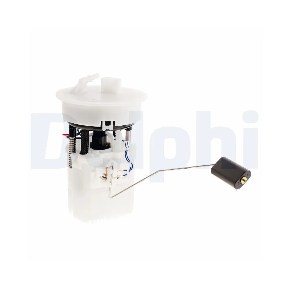 Alte Pompe Delphi - FG2717-12B1