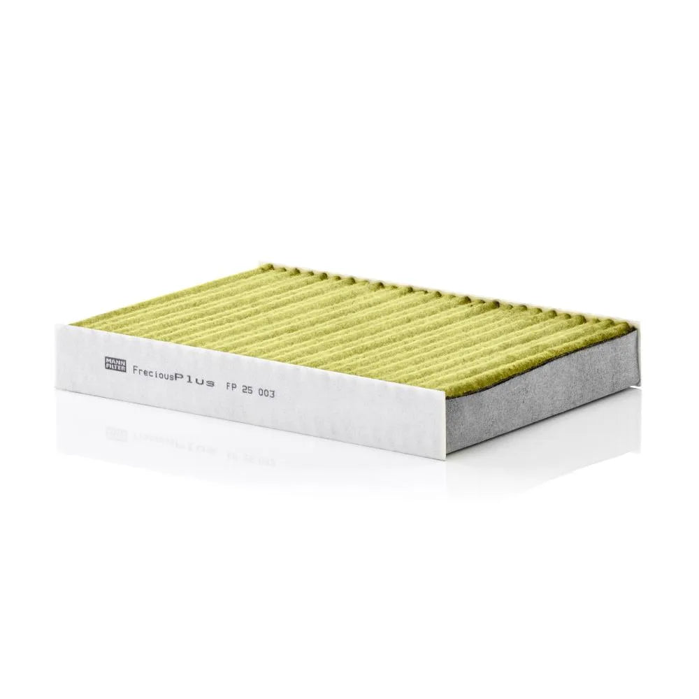 Filtru, Aer Habitaclu MAN - FP25003