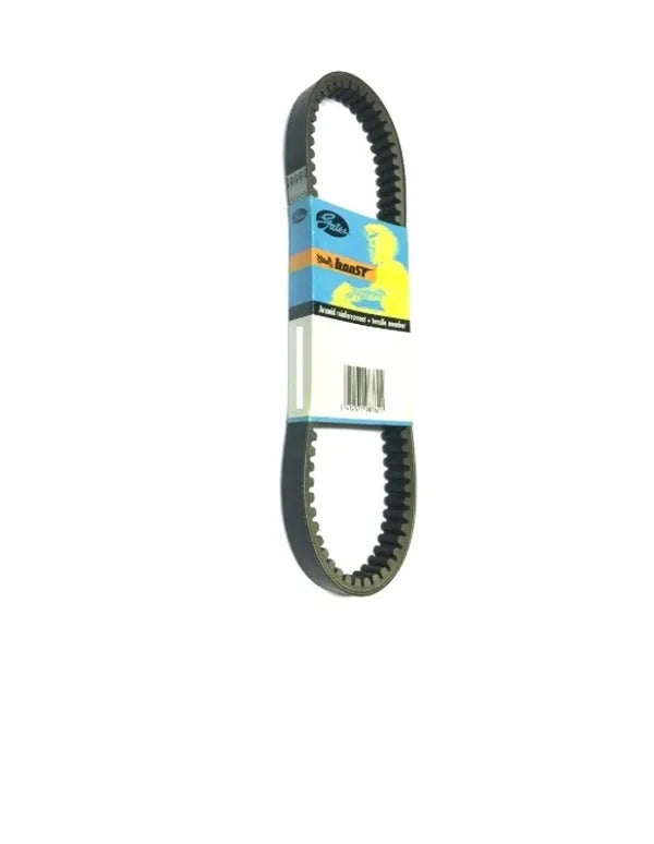 Curele De Transmisie Cvt GAT - GAT31601