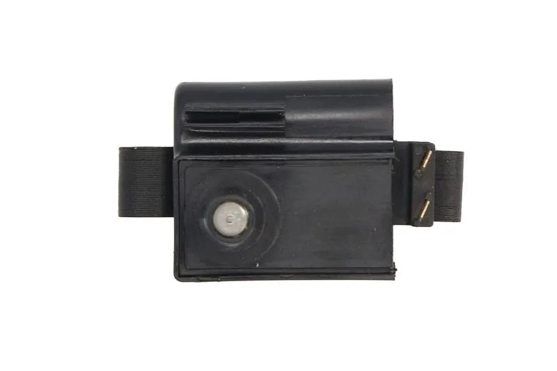 Bobina De Inductie Delphi 0.55 kg - GN10171-12B1