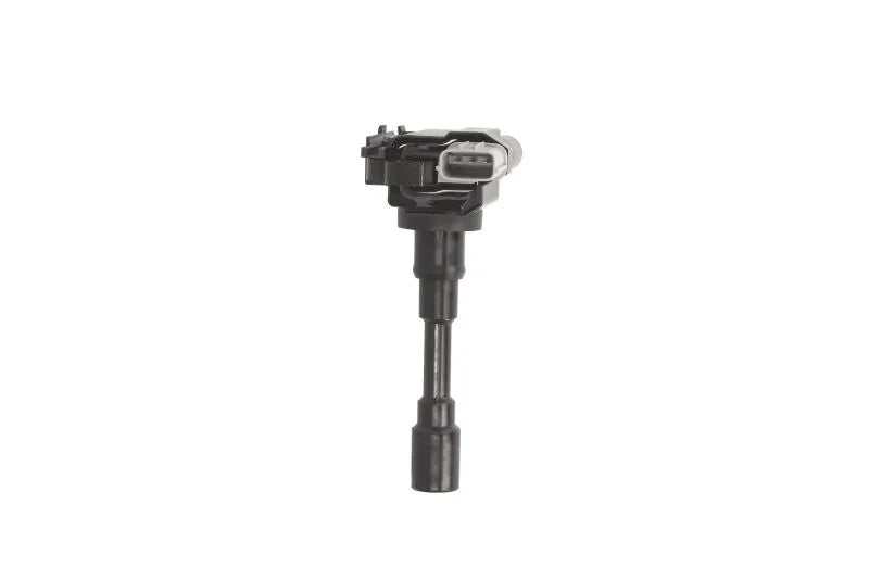 Bobina De Inductie Delphi 0.36 kg - GN10318-12B1