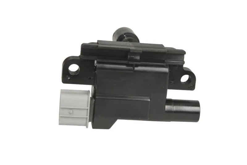 Bobina De Inductie Delphi 0.36 kg - GN10318-12B1
