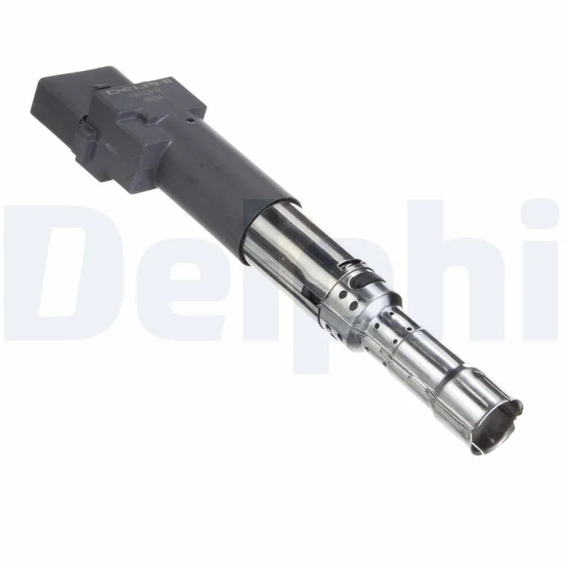 Kit Aprindere Delphi 0.25 kg - GN10442-12B1