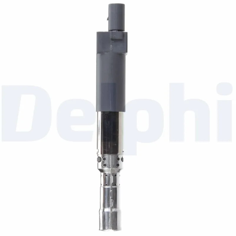 Kit Aprindere Delphi 0.25 kg - GN10442-12B1