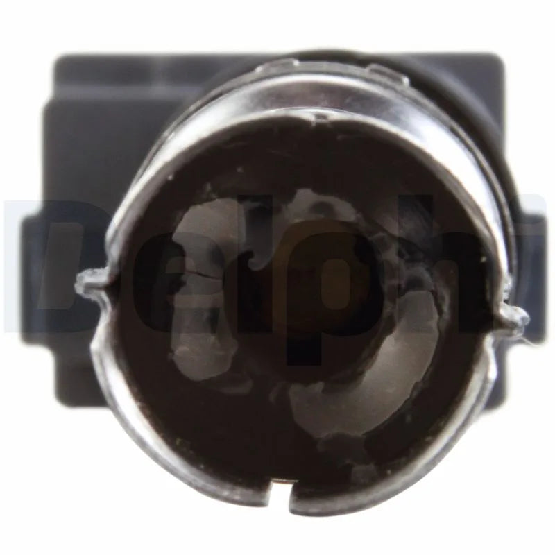 Kit Aprindere Delphi 0.25 kg - GN10442-12B1