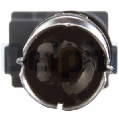 Kit Aprindere Delphi 0.25 kg - GN10442-12B1