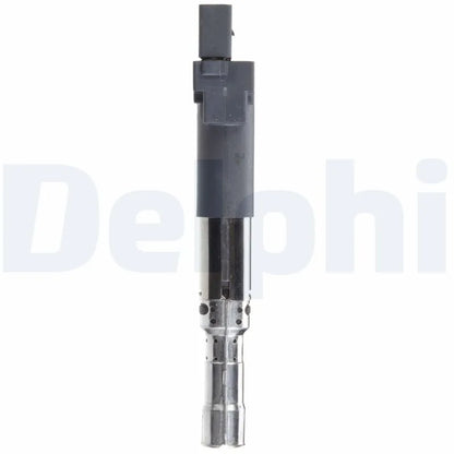 Kit Aprindere Delphi 0.25 kg - GN10442-12B1