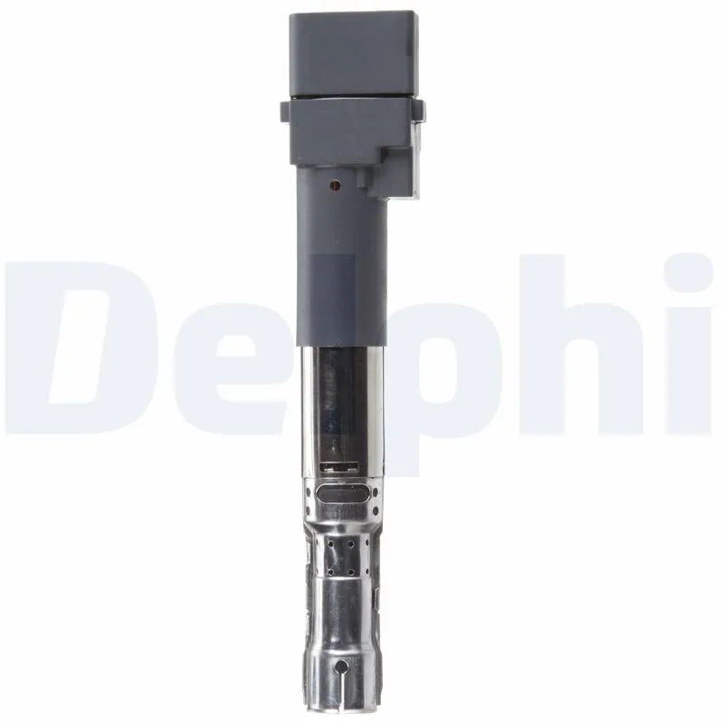 Kit Aprindere Delphi 0.25 kg - GN10442-12B1