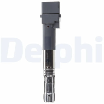 Kit Aprindere Delphi 0.25 kg - GN10442-12B1