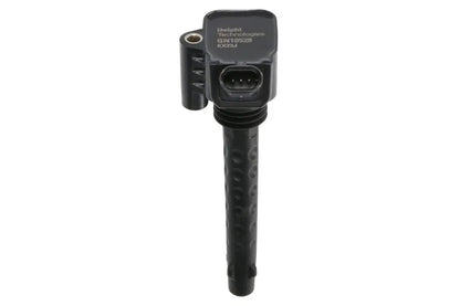 Kit Aprindere Delphi 0.28 kg - GN10528-12B1