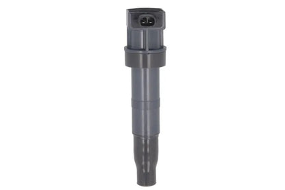 Kit Aprindere Delphi pentru Kia Borrego - GN10560-12B1