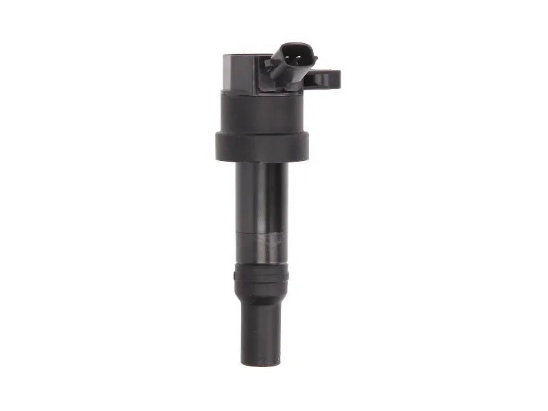 Bobina De Inductie Delphi 0.25 kg - GN10585-12B1